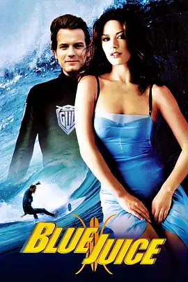 蓝汁1995海报