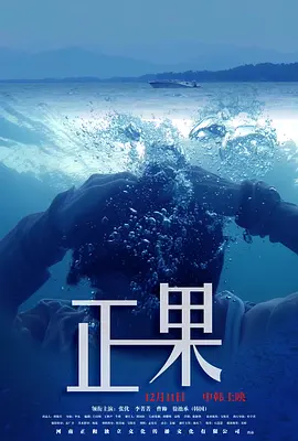 正果2015海报