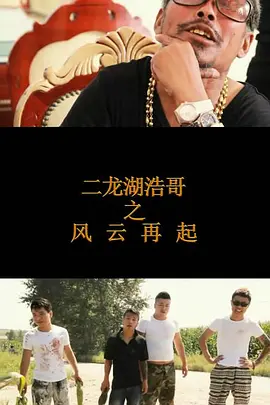 二龙湖浩哥之风云再起海报