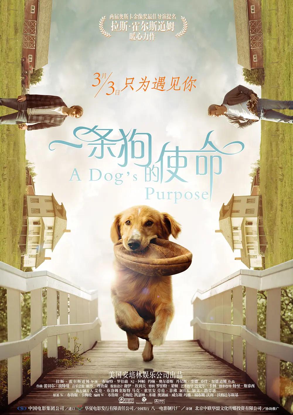 一条狗的使命海报
