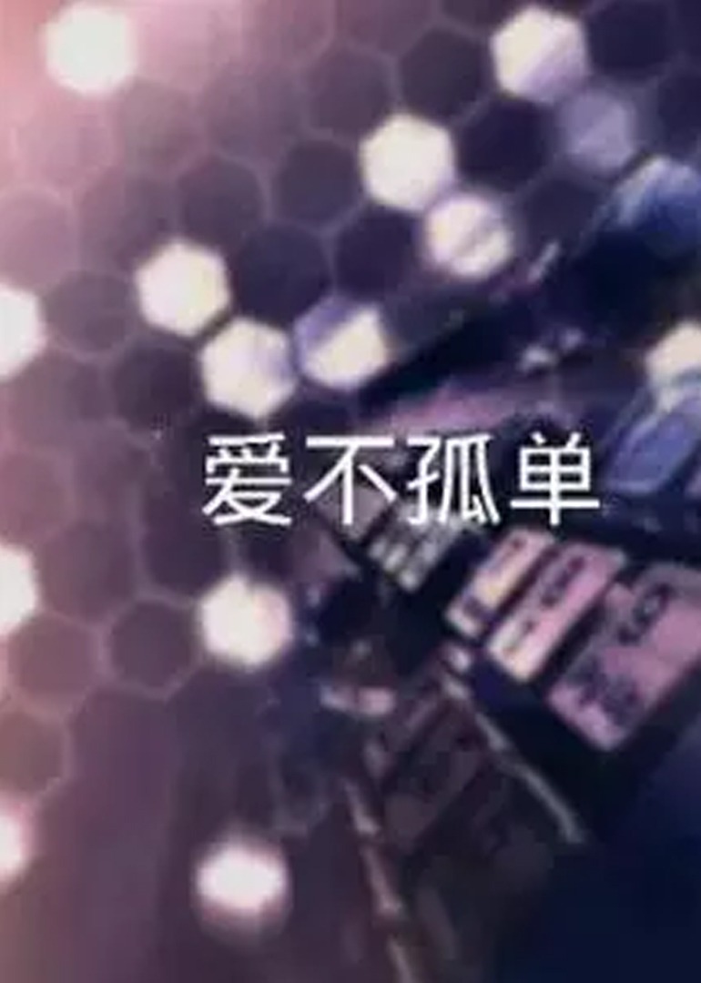 爱不孤单2016海报