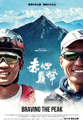 赤心巔峰海报