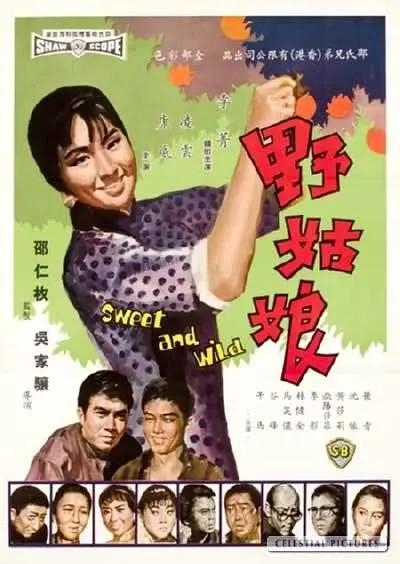 野姑娘1966海报