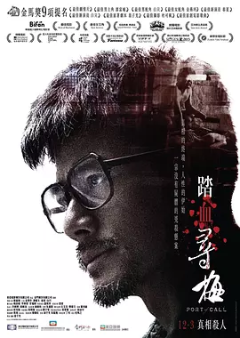 踏血寻梅2015[电影解说]海报