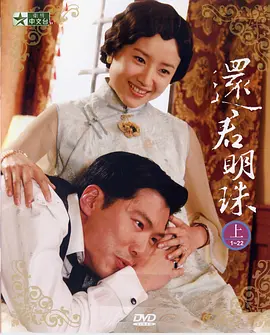 还君明珠2008海报