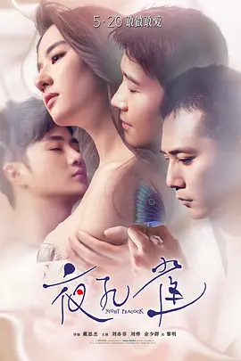 夜孔雀[电影解说]海报