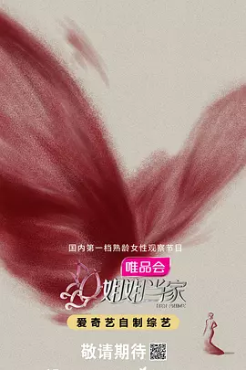 姐姐当家海报