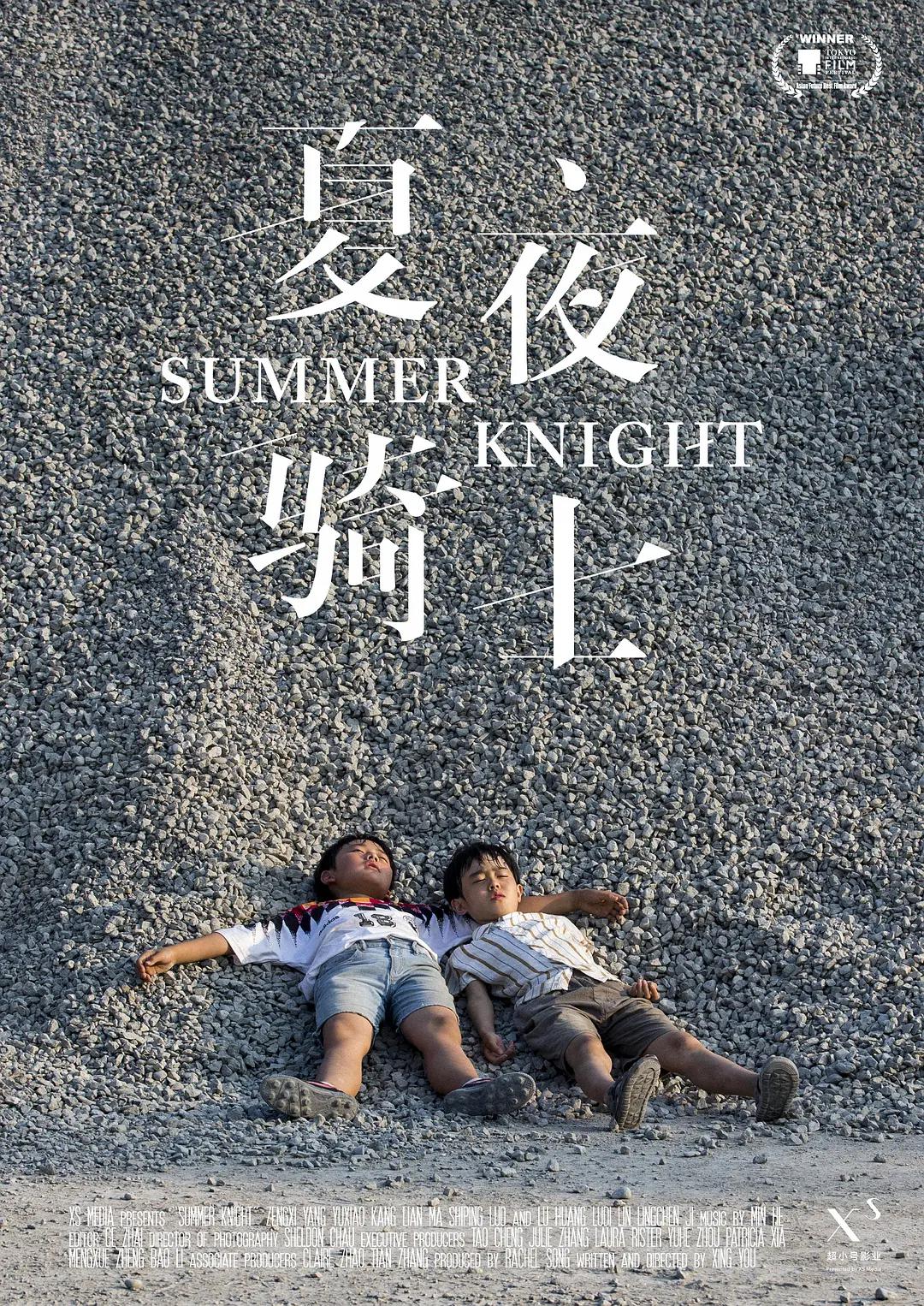 夏夜骑士海报