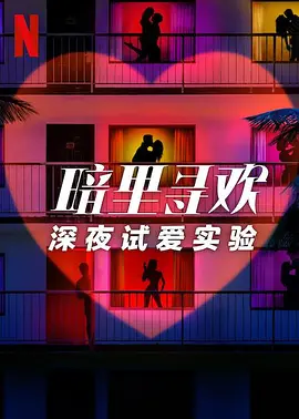 暗里寻欢：深夜试爱实验海报