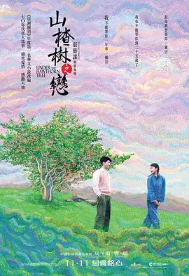 山楂树之恋[电影解说]海报