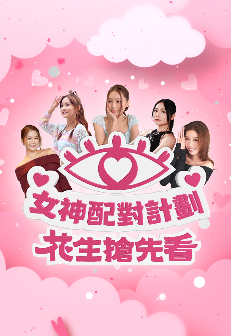 女神配对计划海报