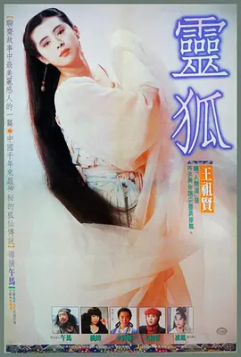 灵狐1991海报