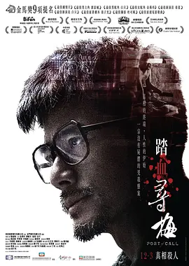 踏血寻梅2015[电影解说]海报
