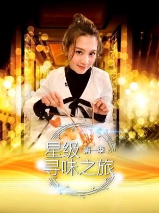 星级寻味之旅第一季海报
