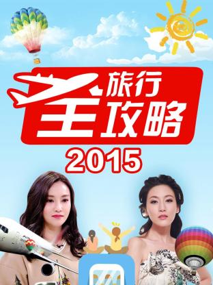 旅行全攻略2015海报
