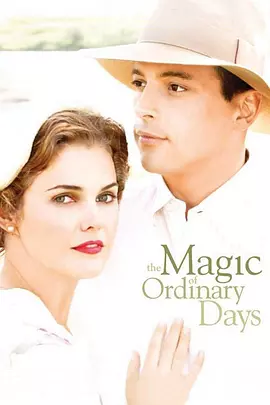 平凡岁月的魅力[电影解说]海报