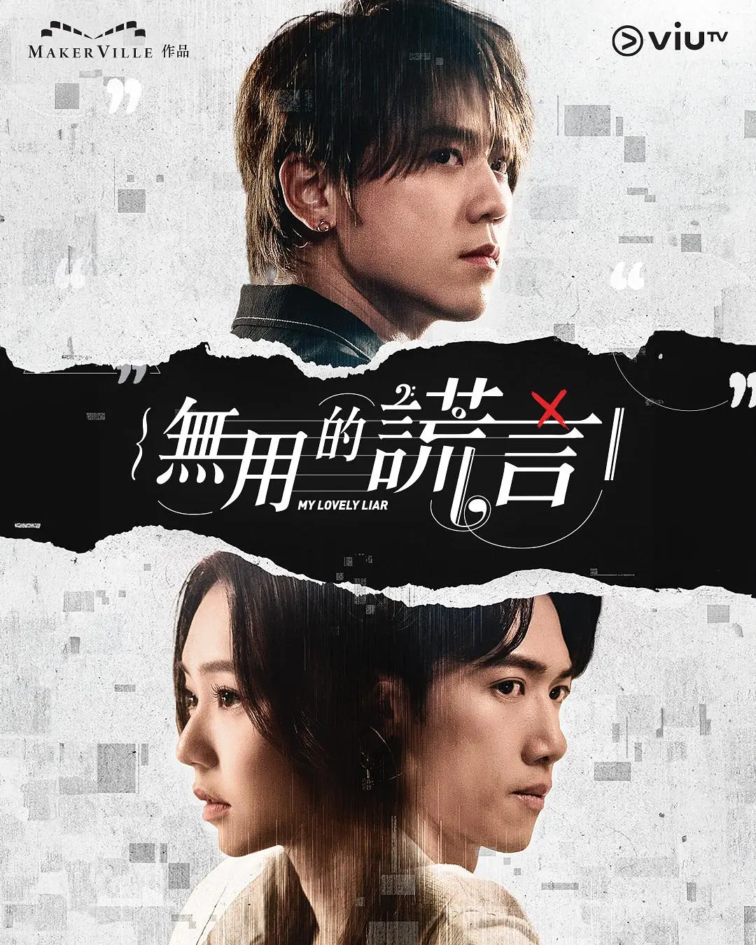 无用的谎言海报