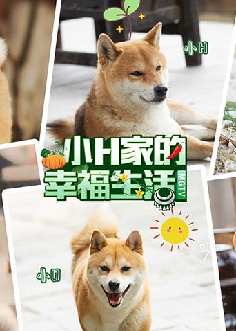 小H家的幸福生活海报