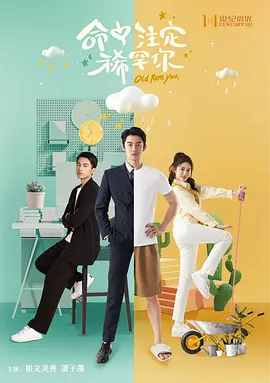 命中注定稀罕你海报