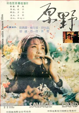 原野1981[电影解说]海报