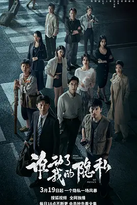 谁动了我的隐私海报
