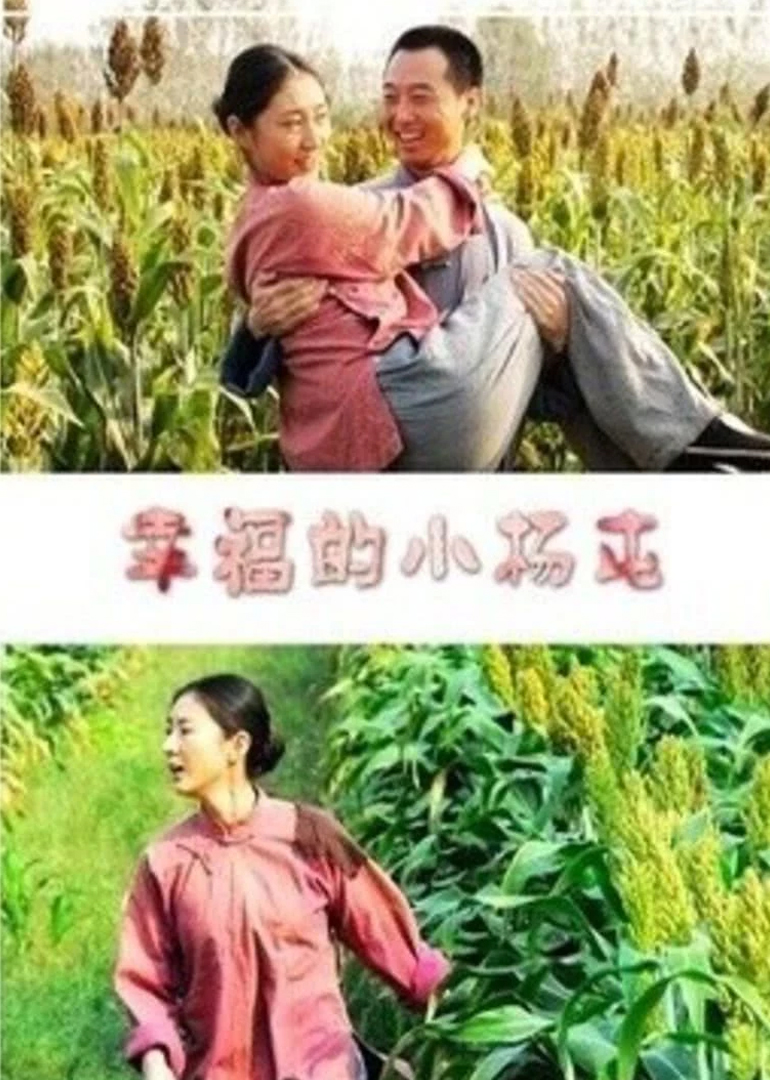 幸福的小杨屯海报