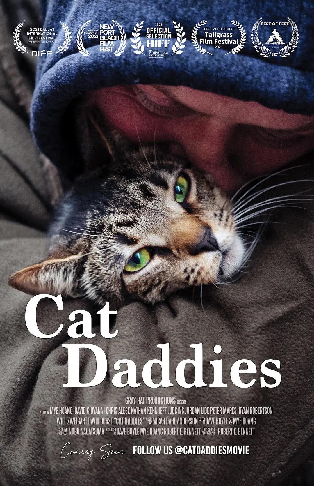 猫爸爸们海报