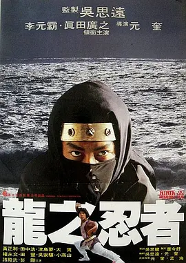 龙之忍者[电影解说]海报