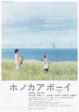夏威夷男孩[电影解说]海报
