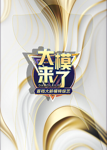 大模来了海报