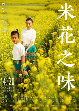 米花之味[电影解说]海报