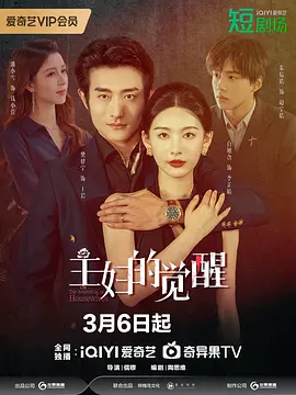 主妇的觉醒海报