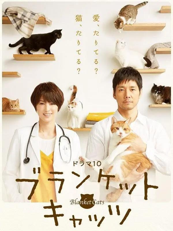 毛毯猫海报