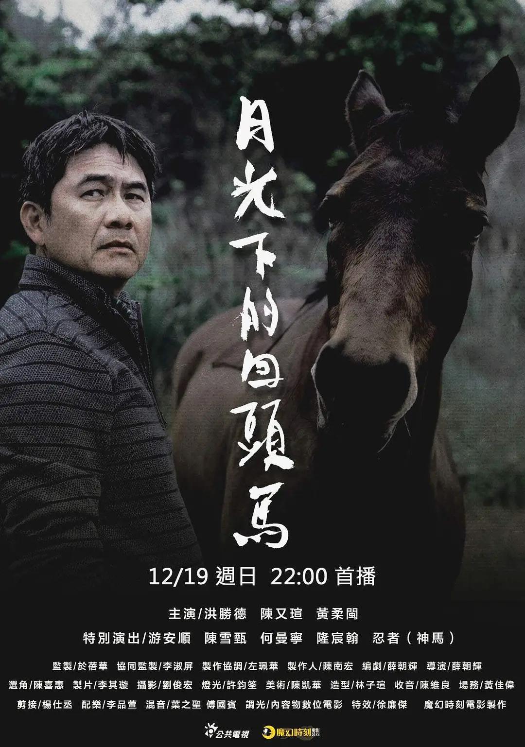 月光下的回头马海报