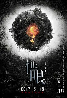 借眼2017海报