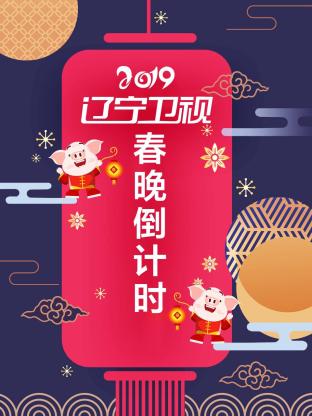 辽宁卫视春晚倒计时2019海报