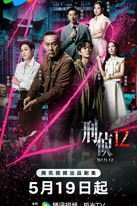 刑侦12国语海报