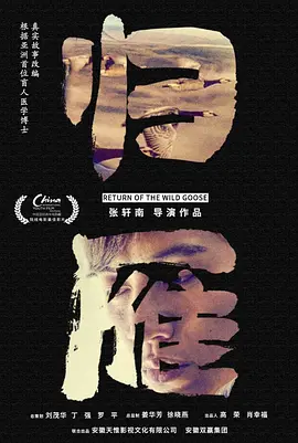 归雁2019海报