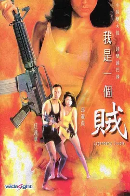 我是一个贼[电影解说]海报