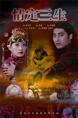 情定三生2009海报