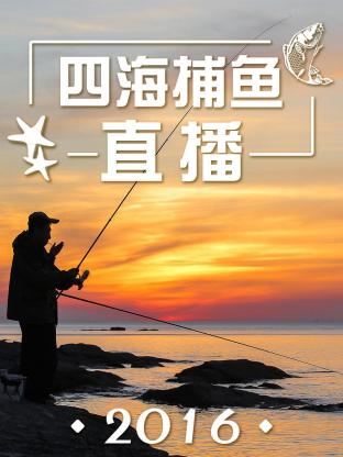 四海捕鱼直播2016海报