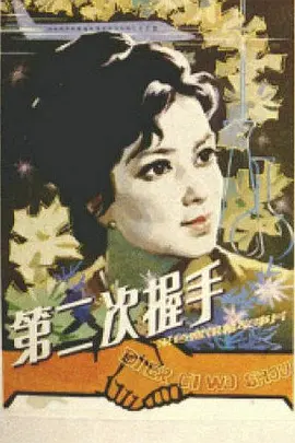 第二次握手[电影解说]海报