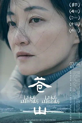 苍山2023海报