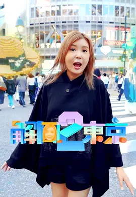 解风东京2海报