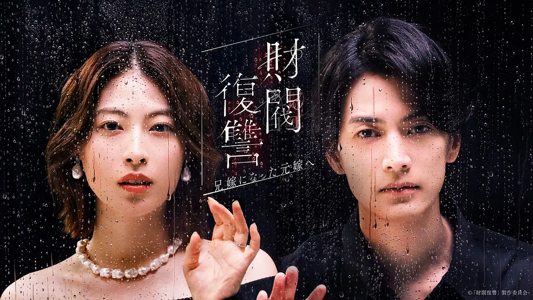 财阀复仇:致成为嫂子的前妻海报