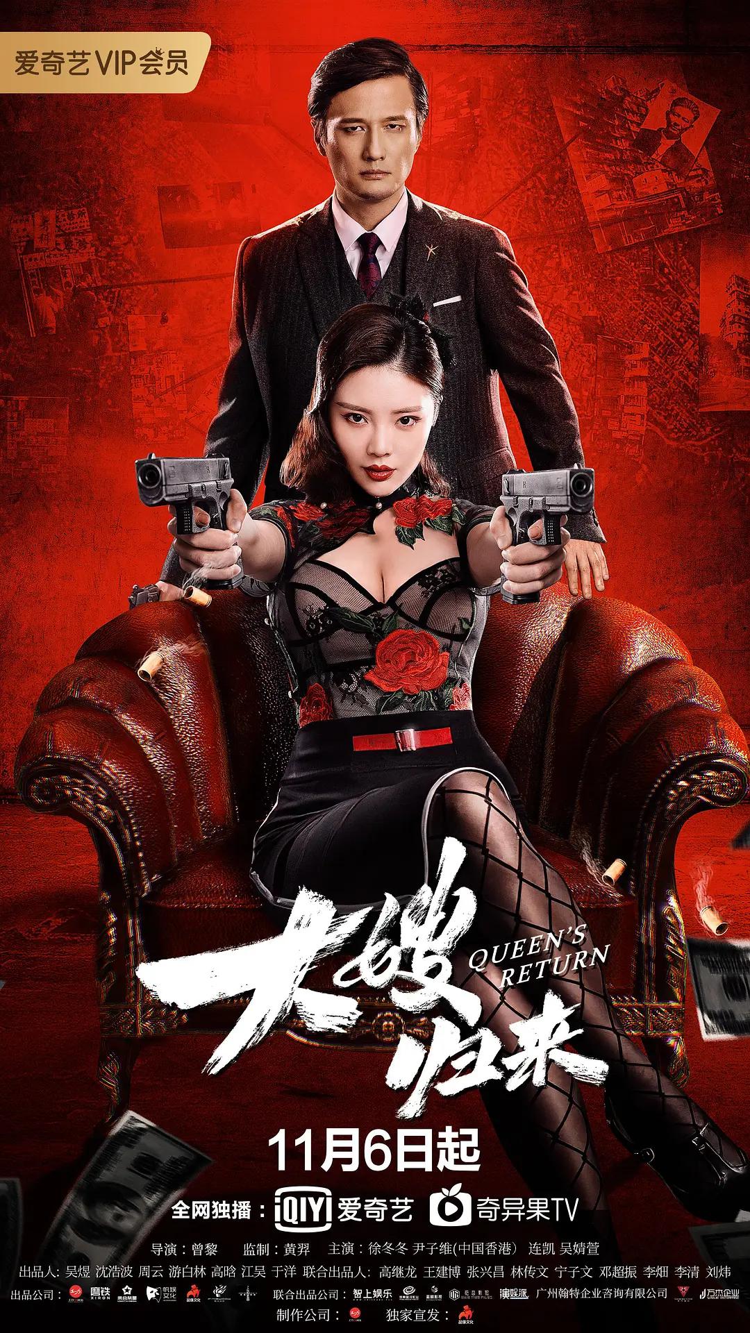 大嫂归来海报