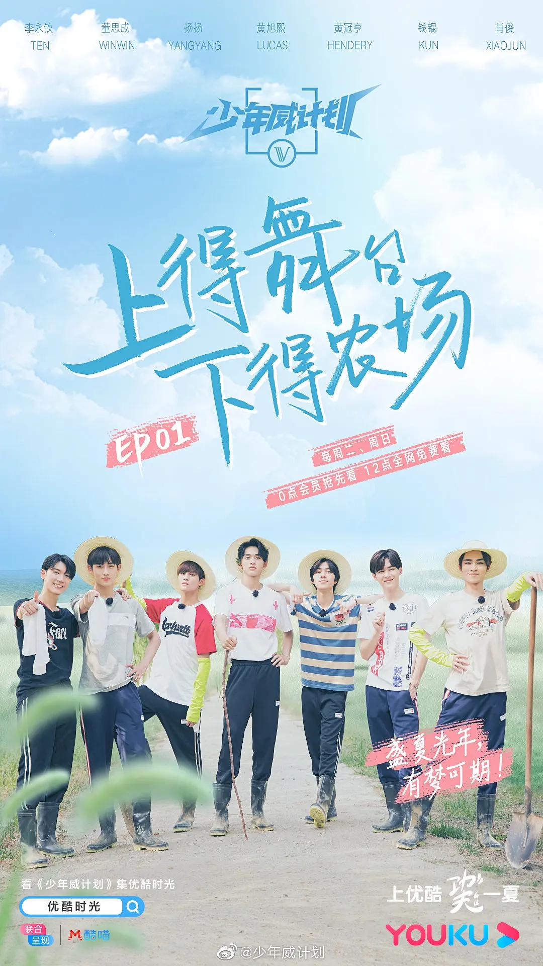 少年威计划海报