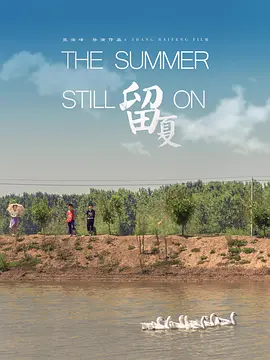 留夏[电影解说]海报