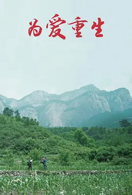 为爱重生2019海报