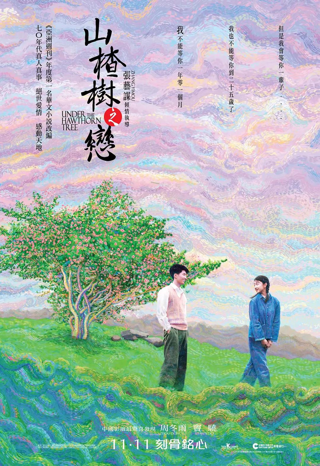 山楂树之恋2010海报